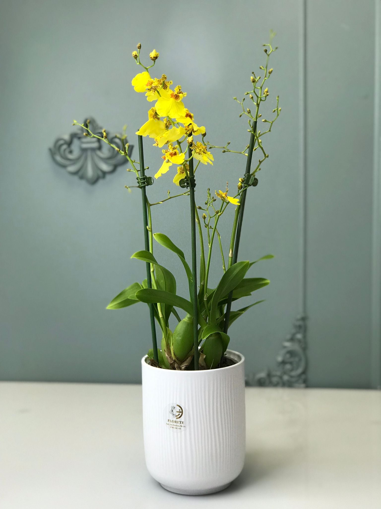 Pentru  Preț  sau Comenzi sunați la 0740338343 Florete - Flori online Iasi